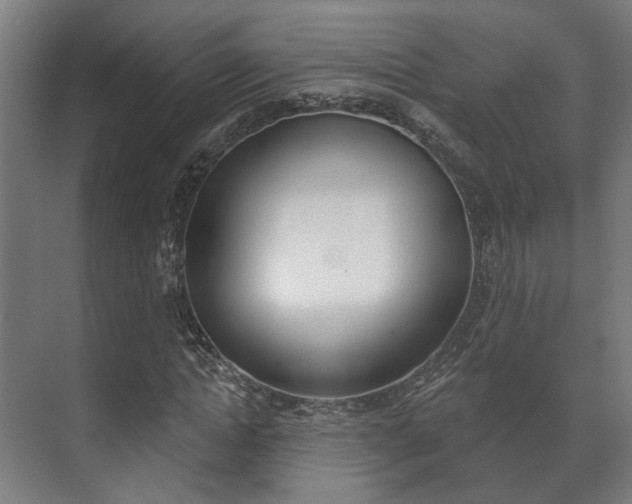 X0000072540822200607141034