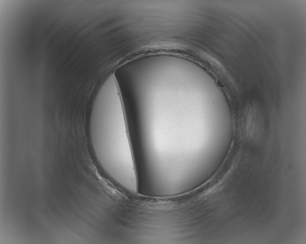 X0000072540833200607141034