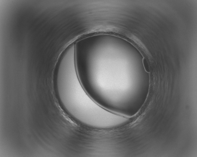 X0000072540834200607141034