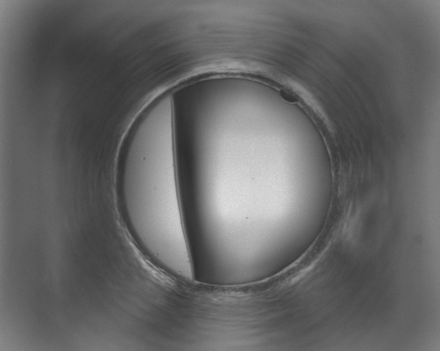 X0000072540837200607141034