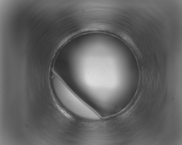 X0000072540842200607141034