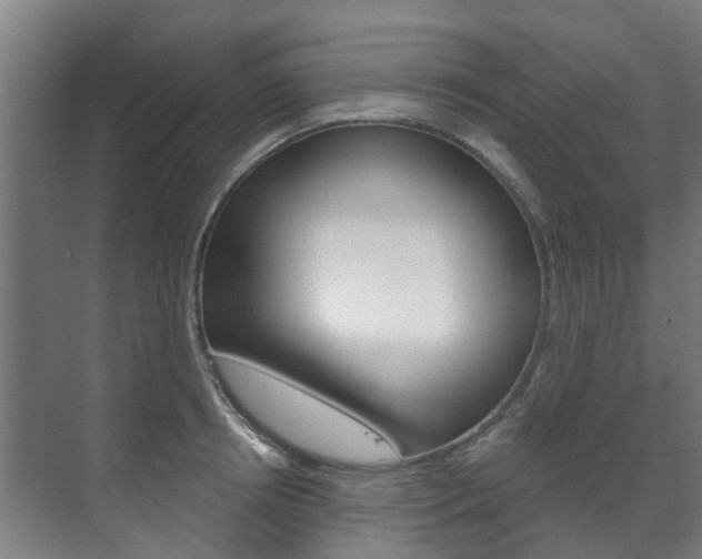 X0000072540850200607141034