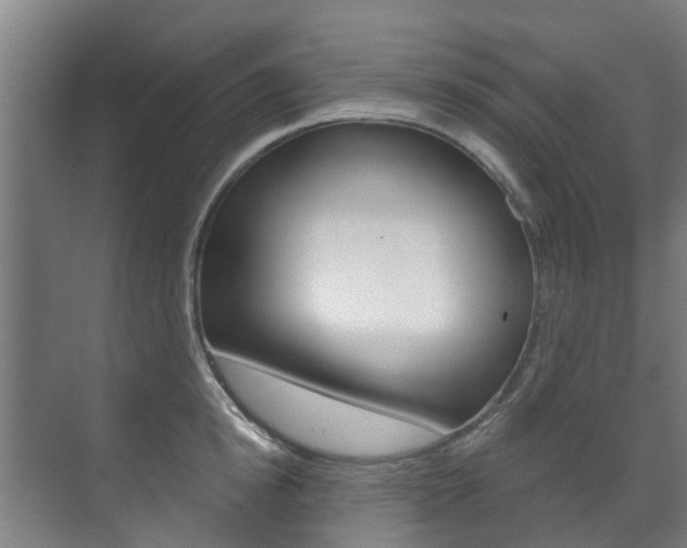 X0000072540854200607141034