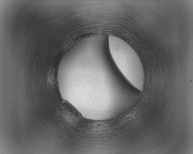 X0000072540867200607141033