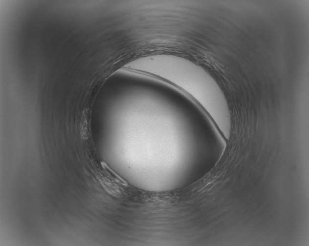 X0000072540868200607141033