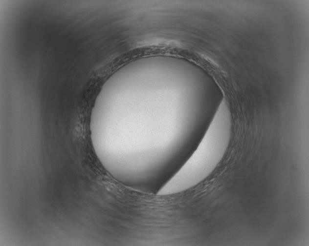 X0000072540869200607141033