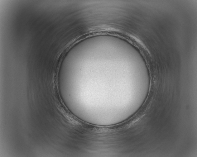 X0000072540873200607141033