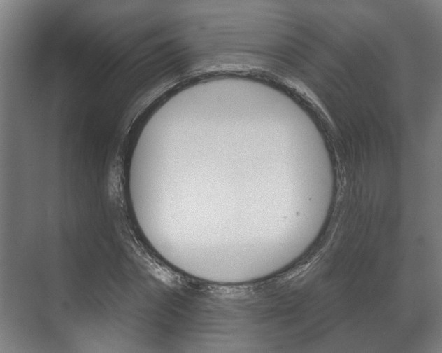 X0000072540874200607141033