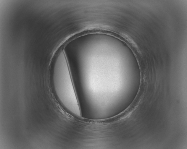 X0000072540877200607141033
