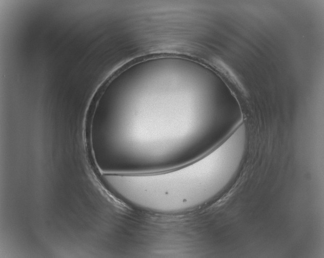 X0000072540884200607141033