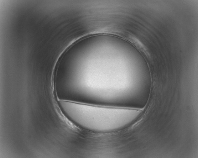 X0000072540892200607141033
