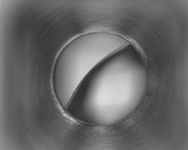 X0000072540904200607141033