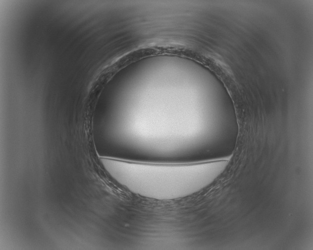 X0000072540920200607141032