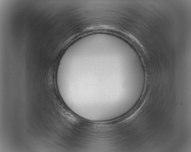 X0000072540921200607141032