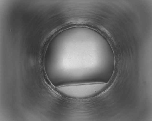 X0000072540922200607141032
