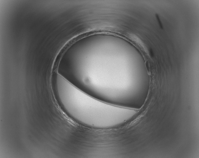 X0000072540924200607141032