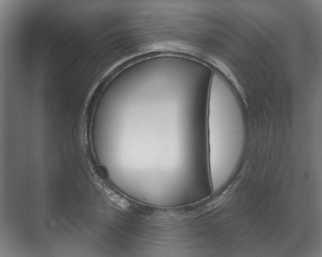 X0000072540931200607141032
