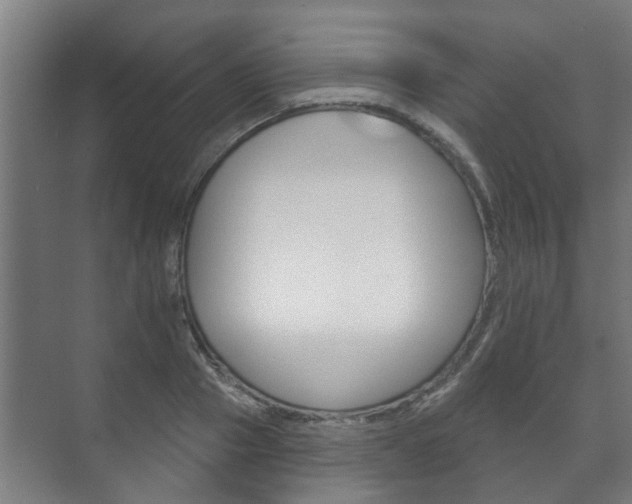 X0000072540937200607141032