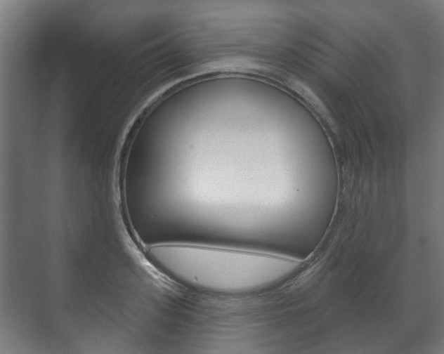 X0000072540939200607141032