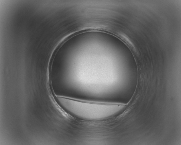 X0000072540940200607141032