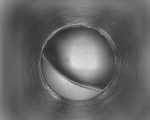 X0000072540956200607141033