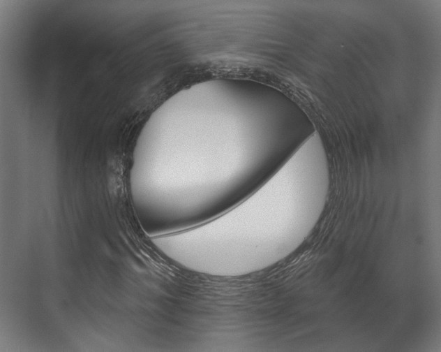 X0000072540964200607141032