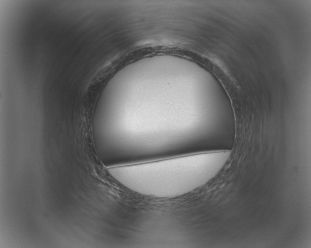 X0000072540967200607141032