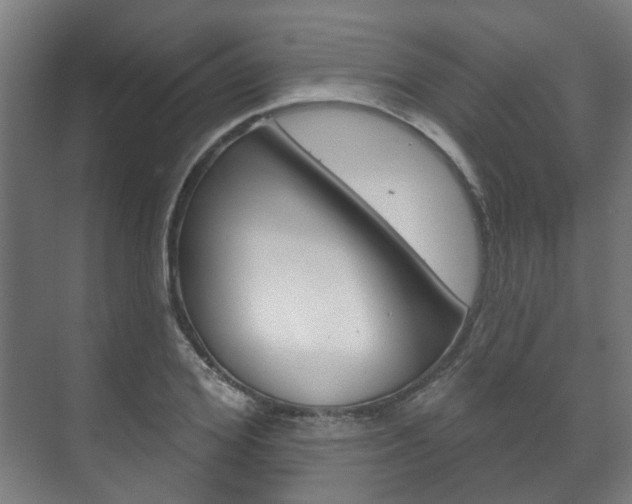 X0000072540980200607141032