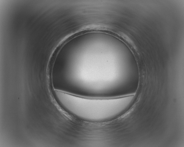X0000072540981200607141032