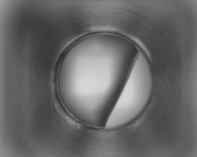 X0000072540983200607141032