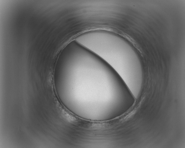 X0000072540985200607141031