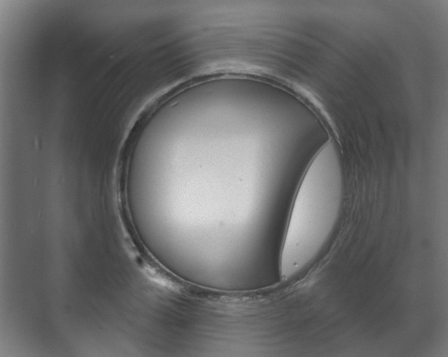 X0000072540987200607141031
