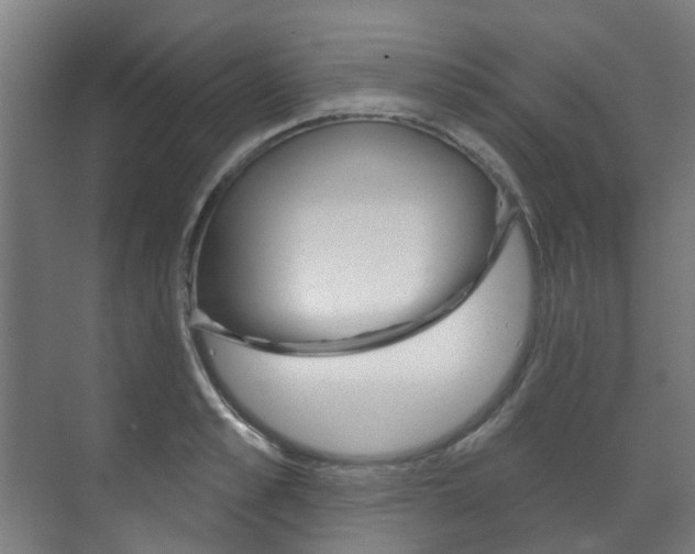 X0000072540989200607141031