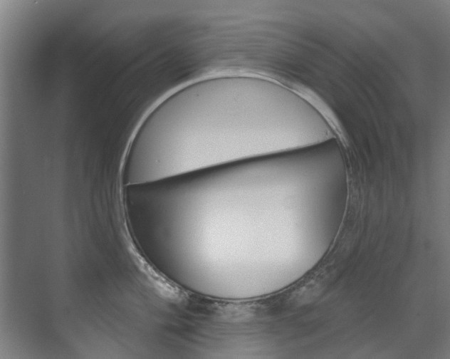 X0000072541004200607141031