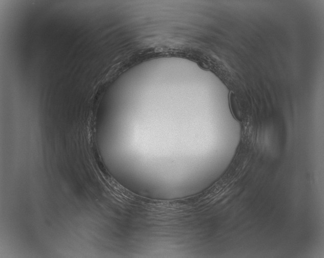 X0000072541012200607141030