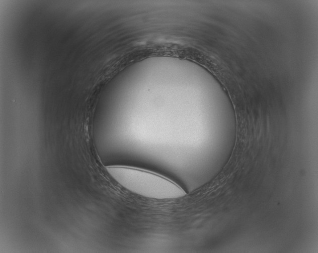 X0000072541013200607141030