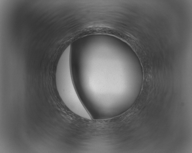 X0000072541014200607141030