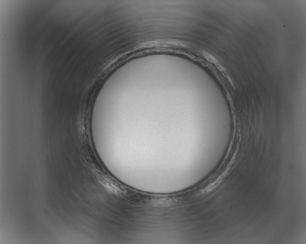 X0000072541017200607141030
