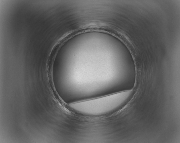 X0000072541018200607141030