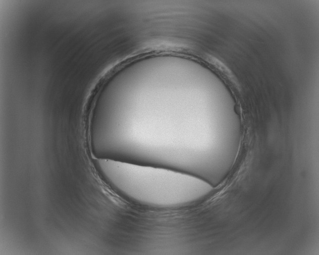 X0000072541027200607141031