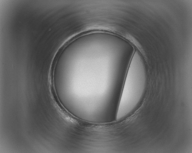 X0000072541028200607141031