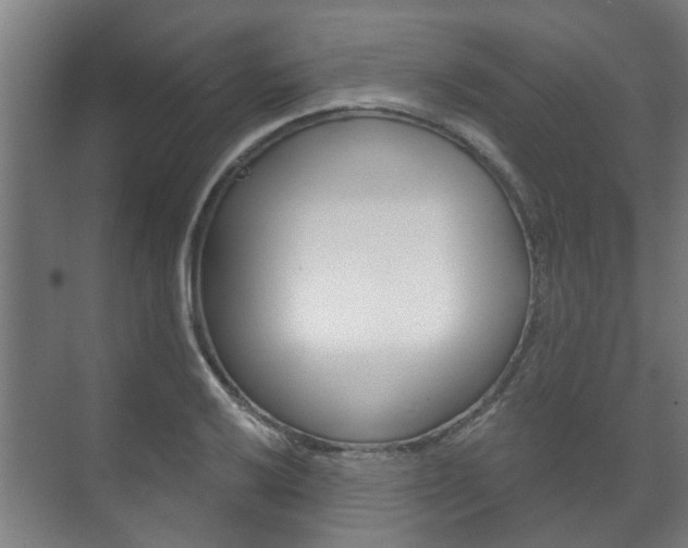 X0000072541032200607141031