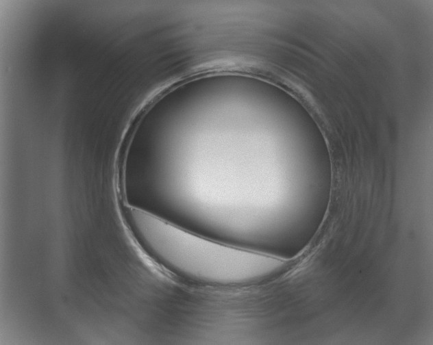 X0000072541034200607141031