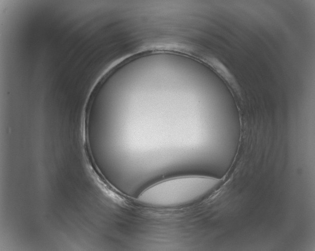 X0000072541036200607141031
