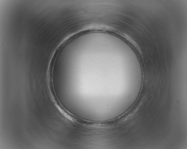 X0000072541037200607141031
