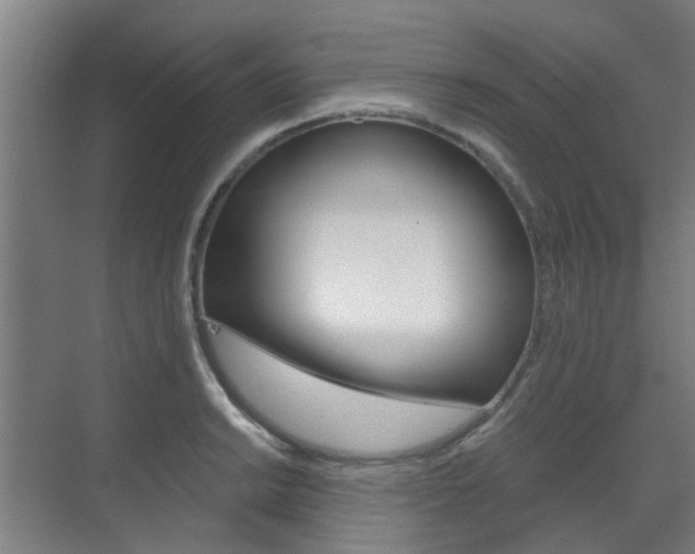 X0000072541038200607141031