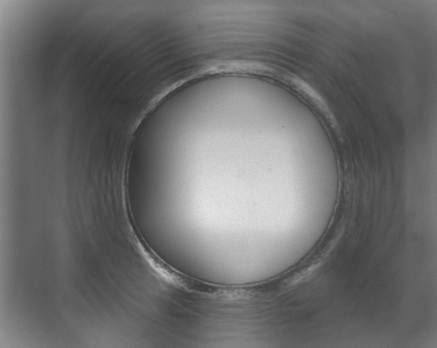 X0000072541041200607141031