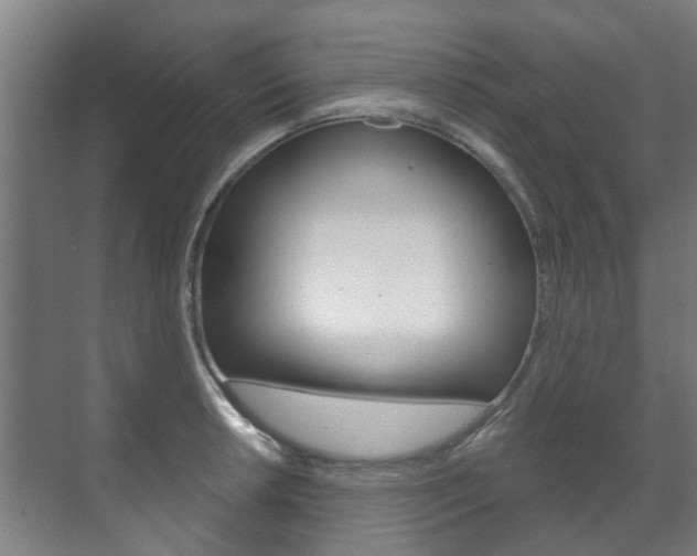 X0000072541042200607141031