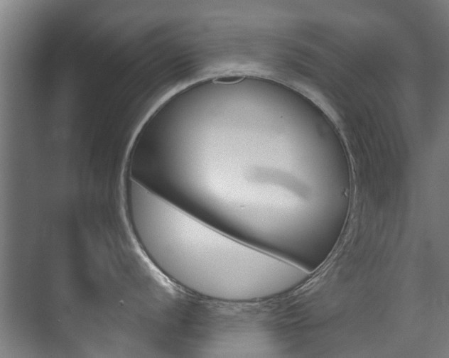 X0000072541056200607141031