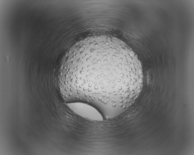 X0000072541059200607141030